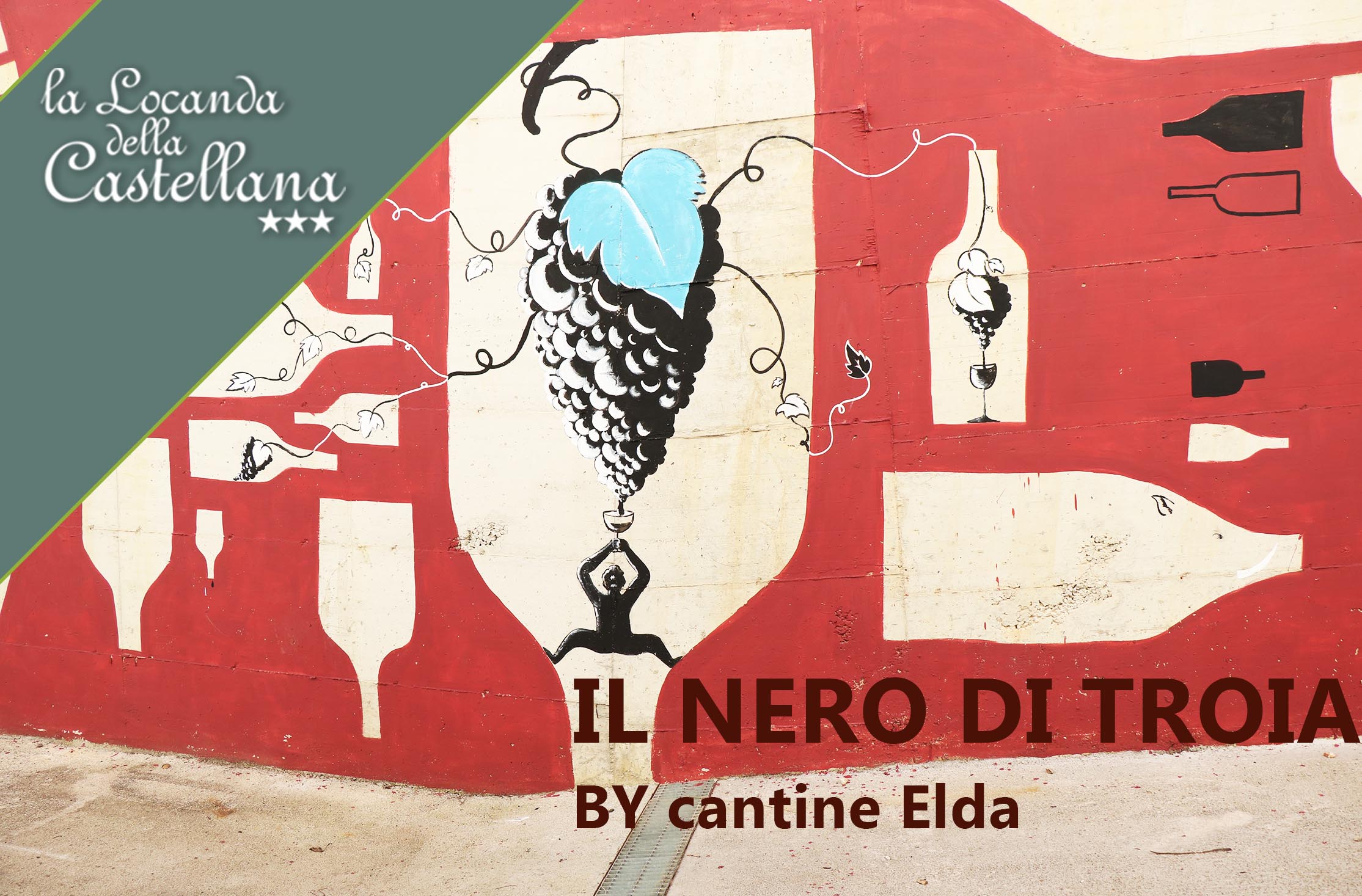 nero di troia cantine elda