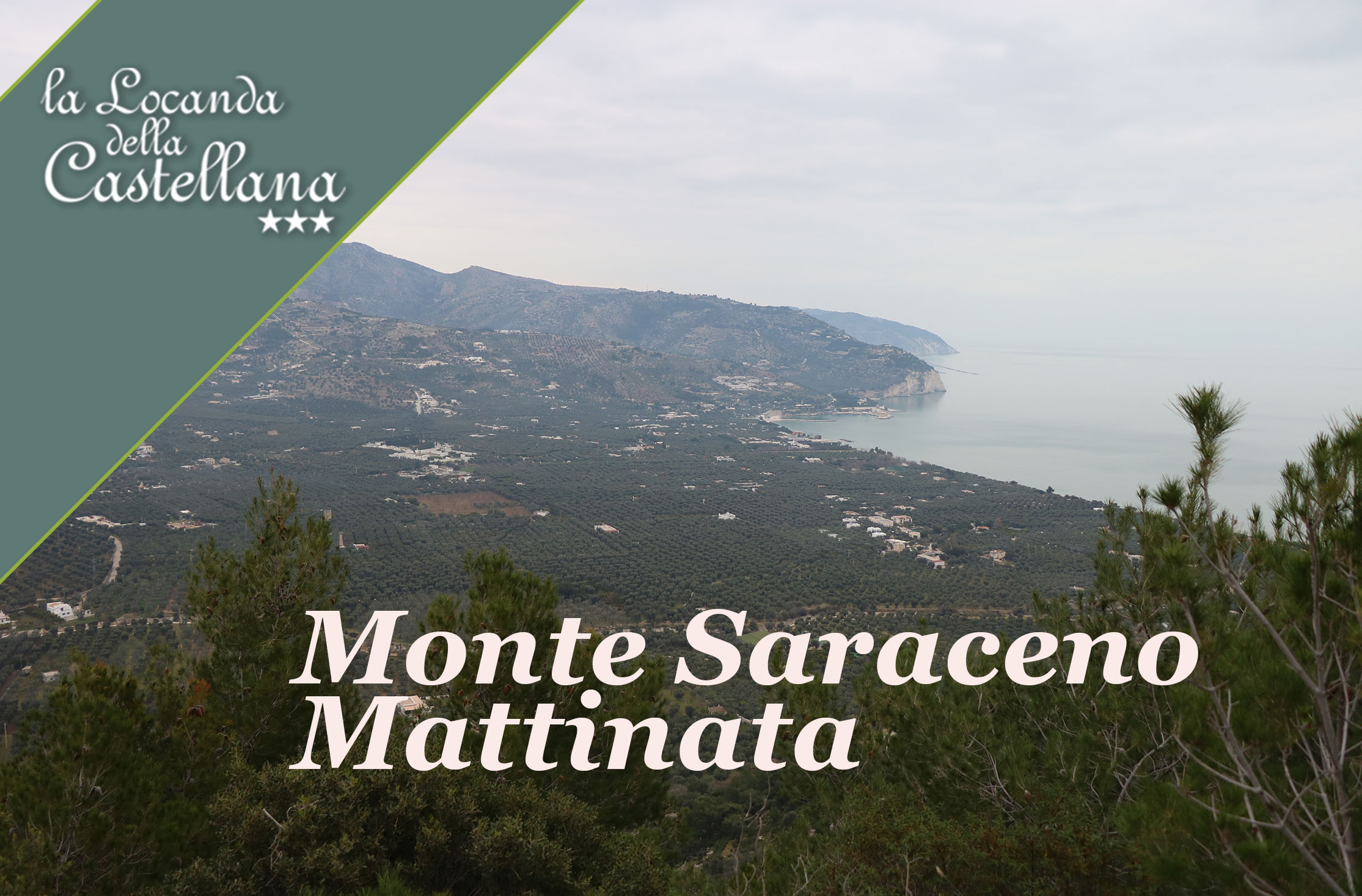 Parco Nazionale del Gargano- monte Saraceno Mattinata